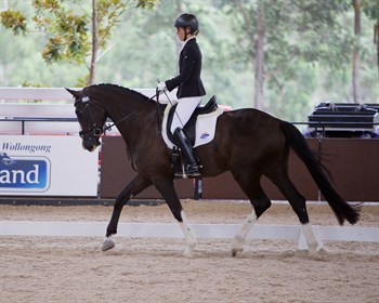 Robbie McKinnon and HV Del Piero, winners of the 4YO Young Horse class - © Roger Fitzhardinge.jpg