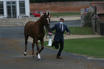 Sam Griffiths and Gurtera Cher in trot up. © Burnham Market International