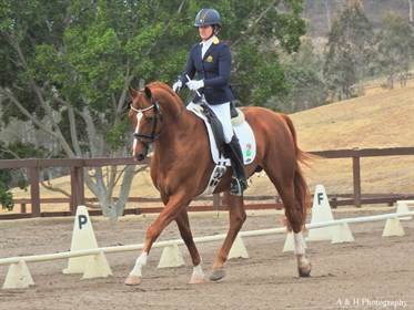 Sharon riding Lord Larmarque