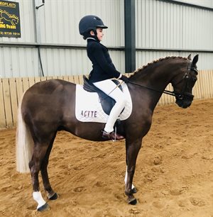 Sienna Mullan-Wright on Owendale Beesting