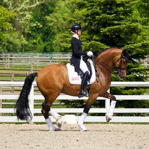 Simone Pearce and Amandori. © Simone Pearce Dressage