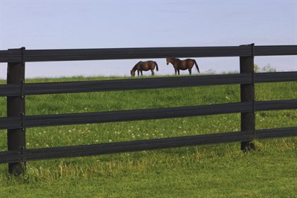 Stock & Noble’s Master Blend fence paint is infused with Never Crib, so crib-biters and wood chewers are deterred from causing unsightly damage!