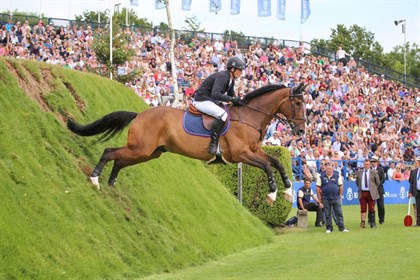The 2014 Hickstead Derby winner Adventure De Kannan is to be officially retired at Hickstead. © Samantha Lamb