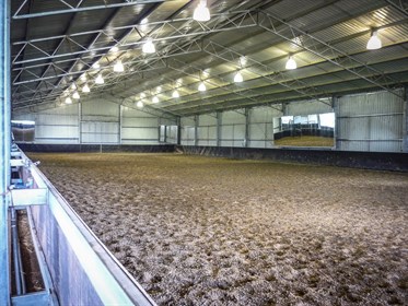 The arena is semi-enclosed. © ABC Sheds