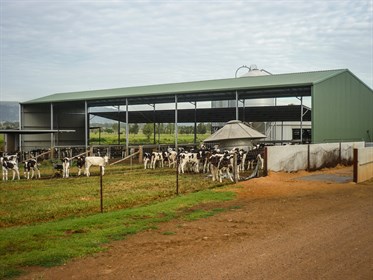 The calf shed. © ABC Sheds