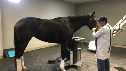 The equine Positron Emission Tomography (PET) scanner at Santa Anita.