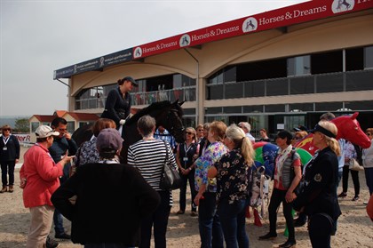 The guests on the tour loved the 4 year old by Furstenball, Ferdinand - and he loved the crowd!