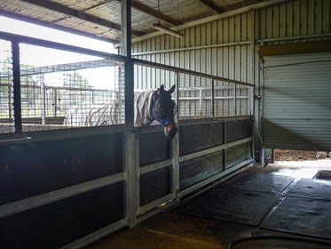 The stables are part of the skillion shed off the side of the arena. © ABC Sheds