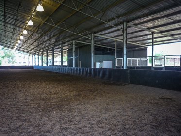 The stables in the skillion shed off the side of the arena. © ABC Sheds
