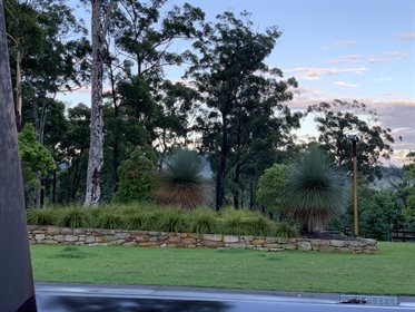Willinga Park's beautiful gardens
