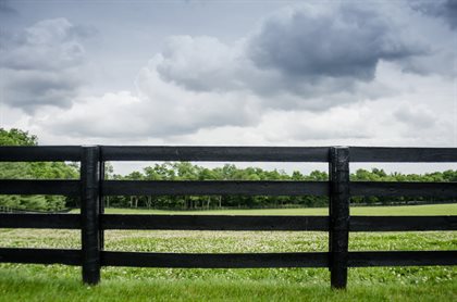 shutterstock_297393599.jpg