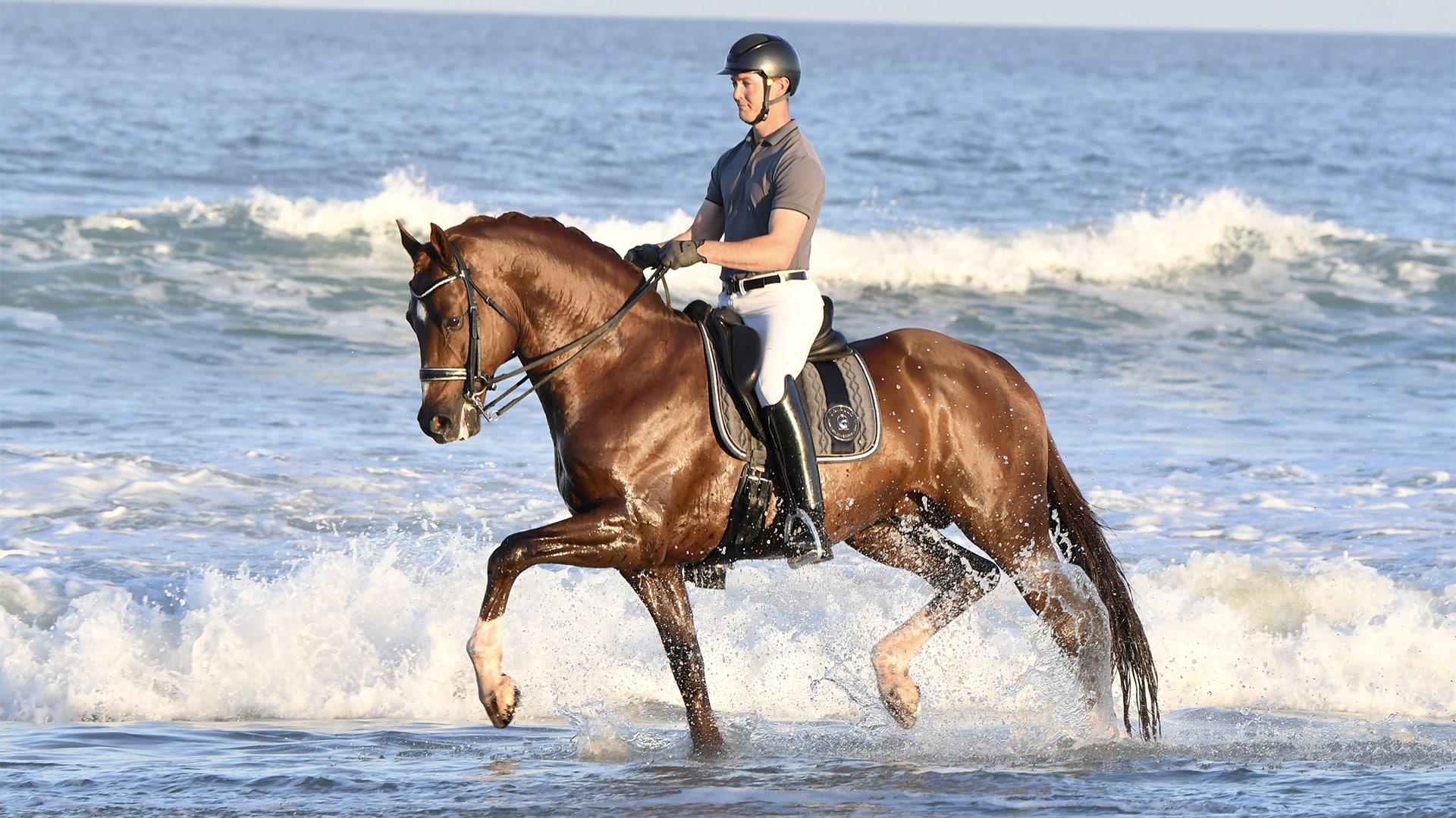 FROM FOAL TO FUTURE STAR: MATTHEW & VINO’S JOURNEY