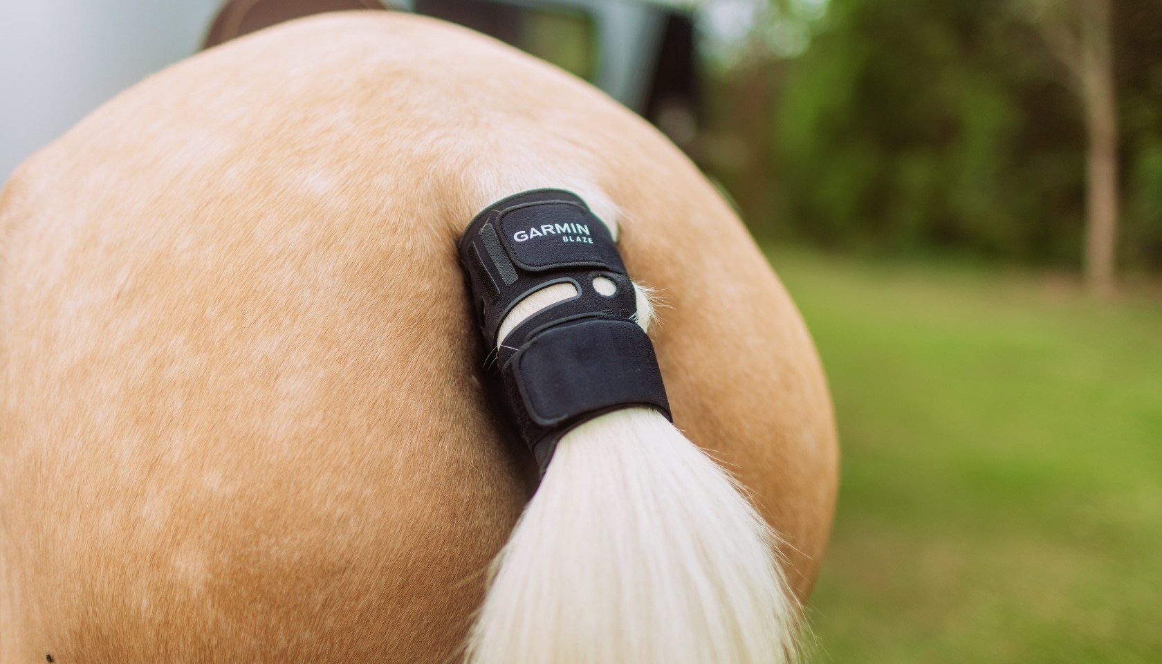 GARMIN A TRAILBLAZER IN EQUINE HEALTH