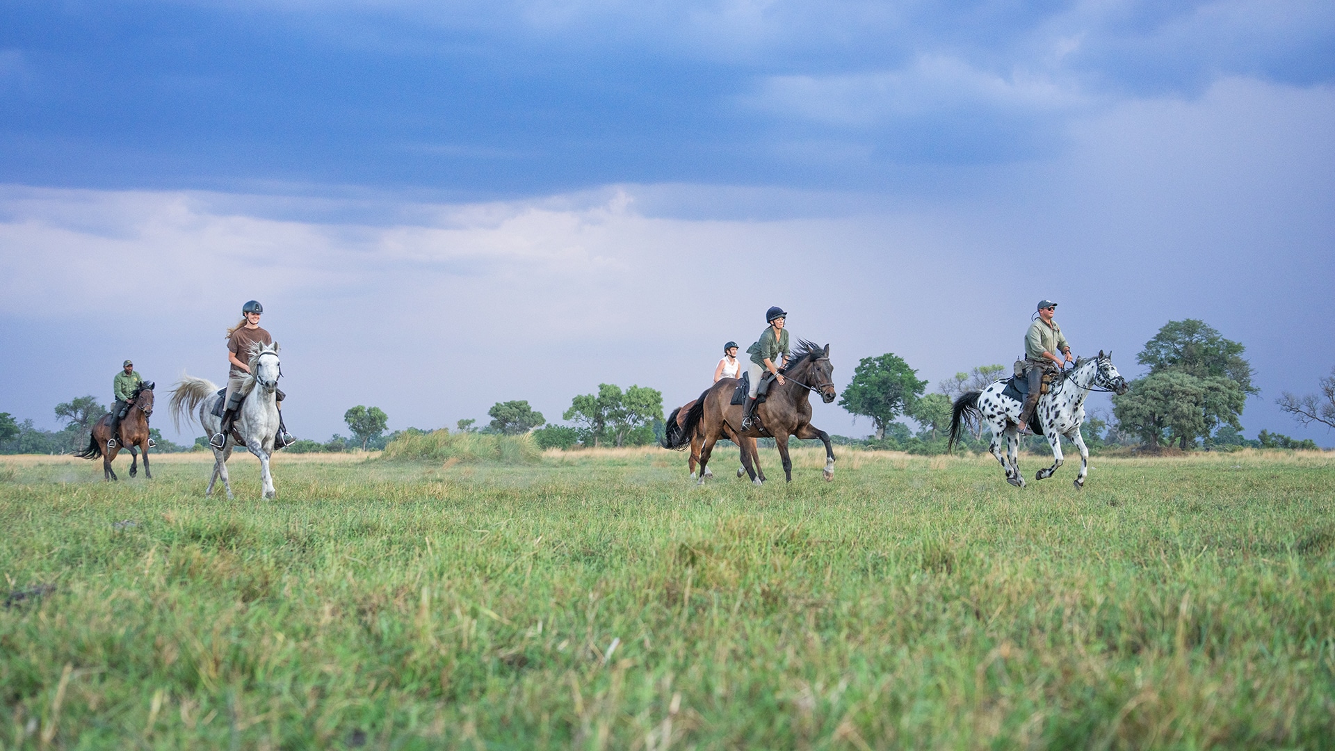 WHAT IT TAKES TO BECOME A SAFARI HORSE IN BOTSWANA