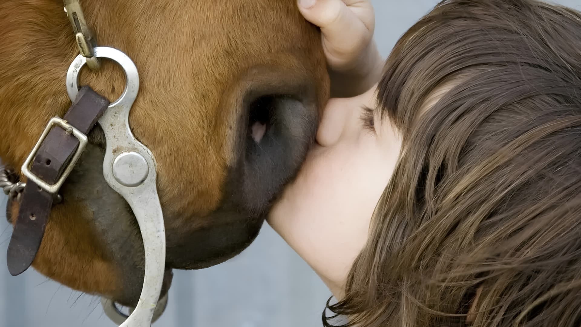 THE HORSE BOY, ONE FAMILY’S JOURNEY
