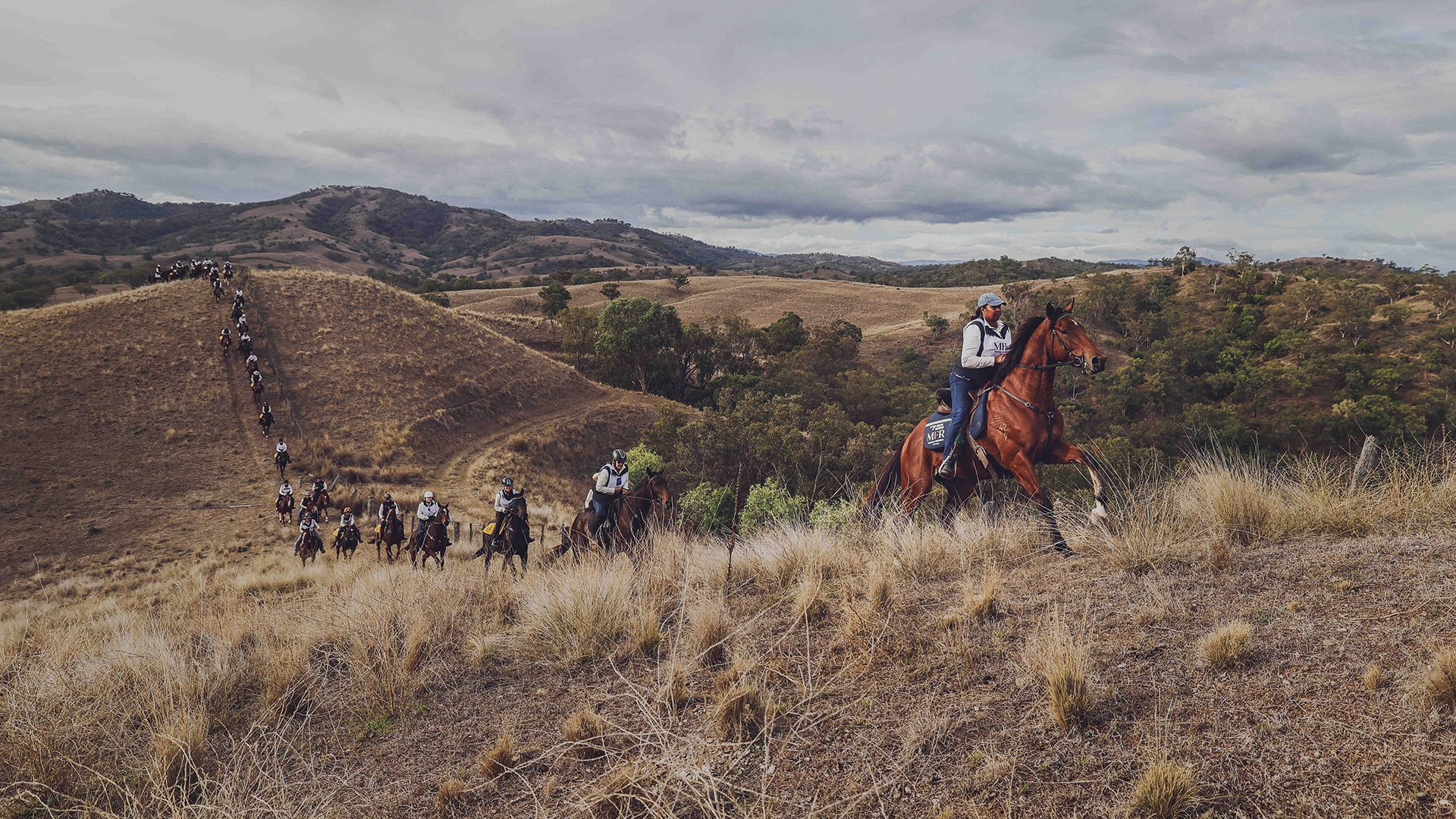 THE HORSEPOWER BEHIND TOUR D’HORSE