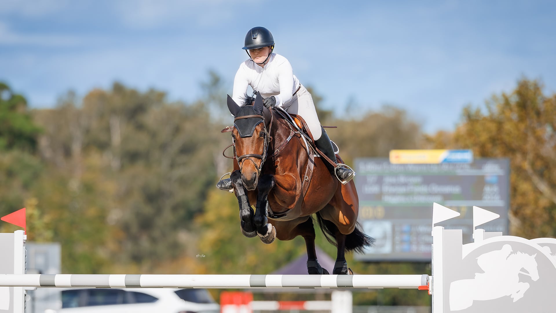 JESS BROWN ON TOP OF THE WORLD & DOWN TO EARTH