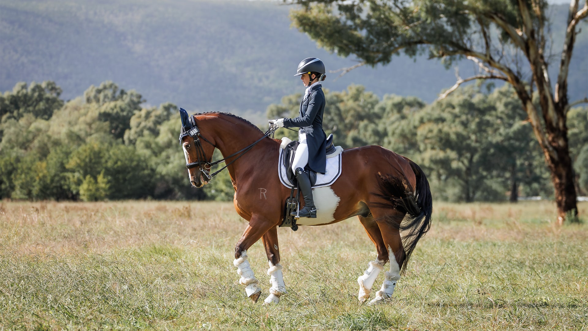 SOPHIA COOMBES: BIG DREAMS, HARD WORK & FEI HORIZONS