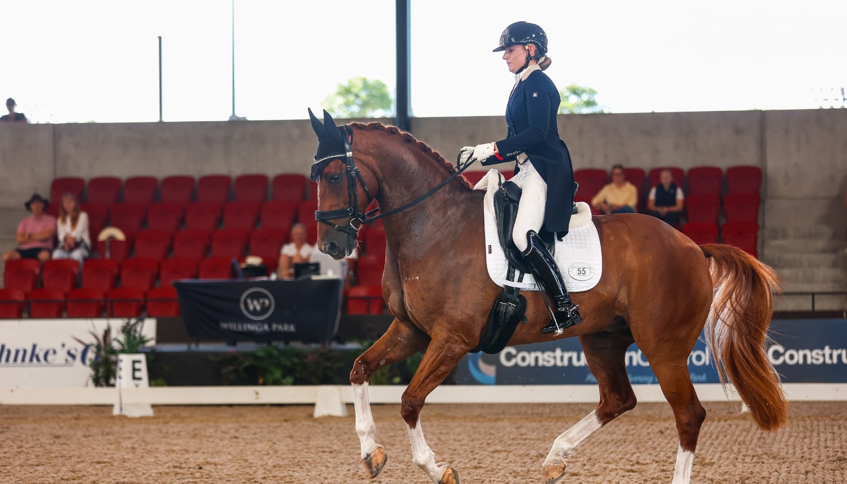DANCING BACK TO DRESSAGE: FINDING HARMONY WITH DES