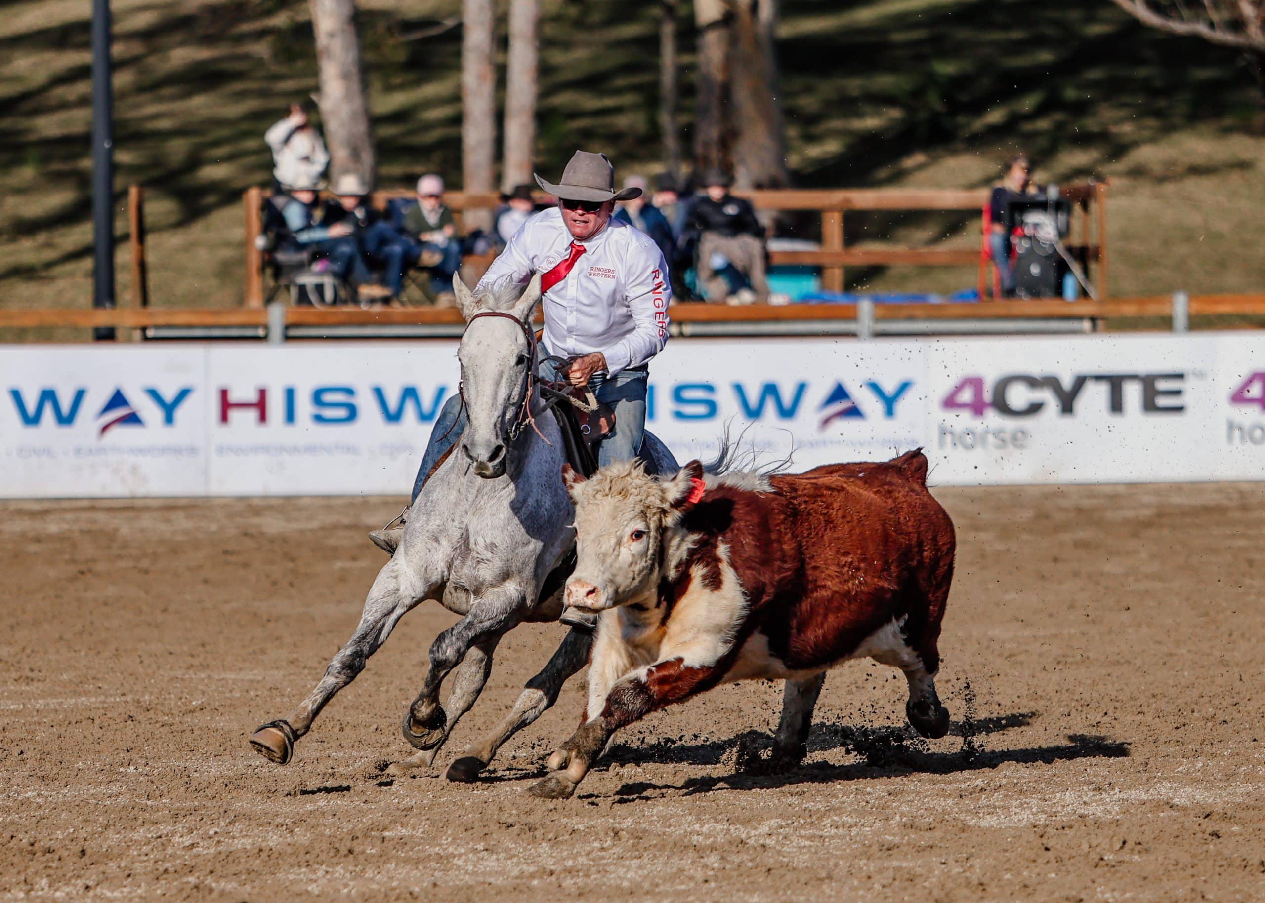 COMISKEY CLAIMS FOURTH GOLD BUCKLE