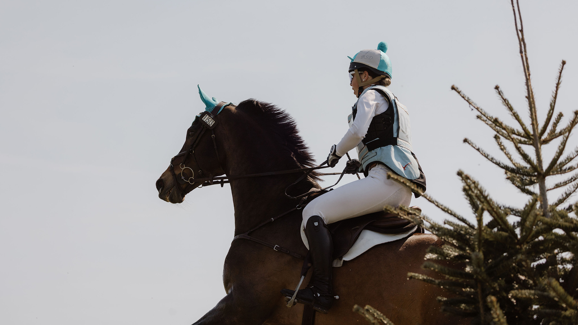 HARD WORK PAYS OFF FOR BROOKE AND LOCKY