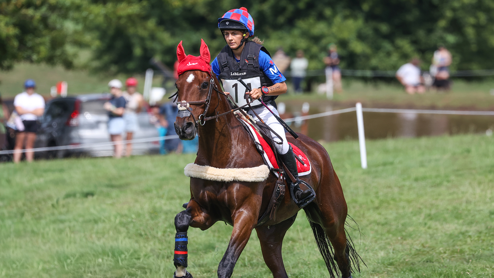 PASH & LAMOZA’S ROAD TO MILLSTREET