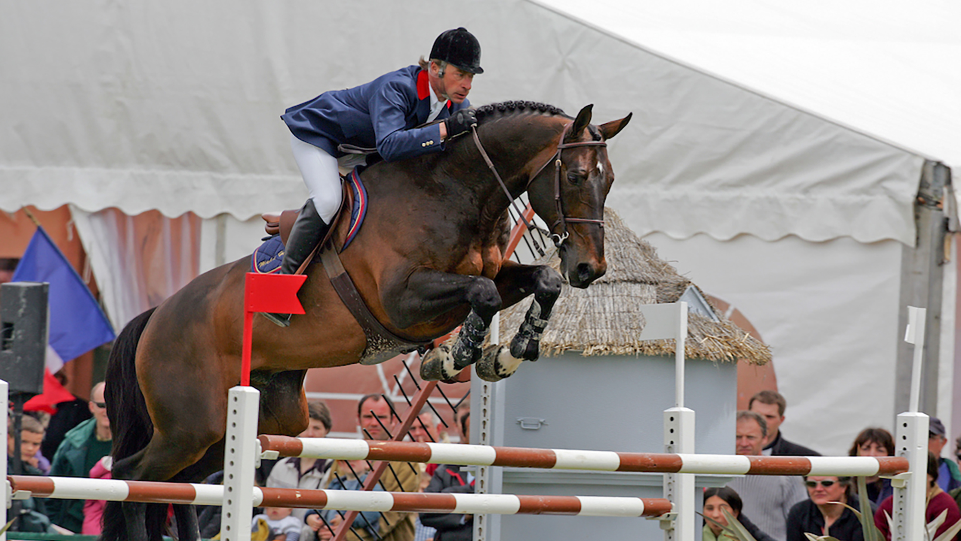 ALL IN THE NUMBERS: TOP JUMPING SIRES